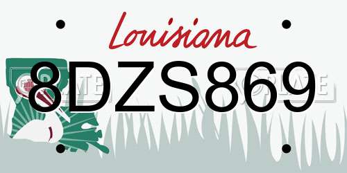 8DZS869 Louisiana License Plate