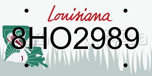 8HO2989 Louisiana License Plate