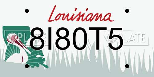 8I80T5 Louisiana License Plate