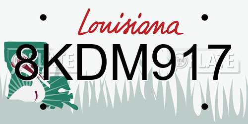 8KDM917 Louisiana License Plate