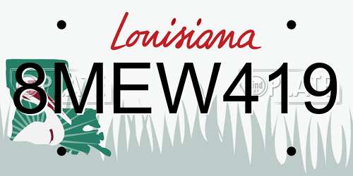 8MEW419 Louisiana License Plate