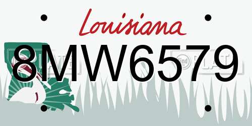 8MW6579 Louisiana License Plate