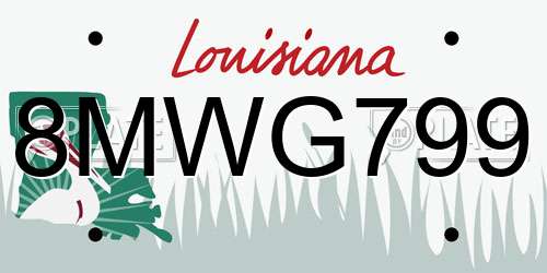 8MWG799 Louisiana License Plate