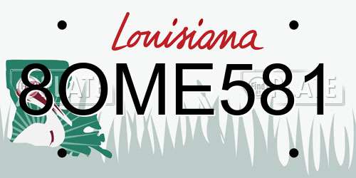 8OME581 Louisiana License Plate