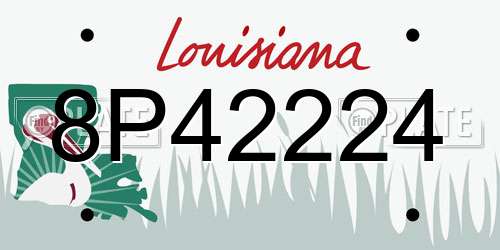 8P42224 Louisiana License Plate