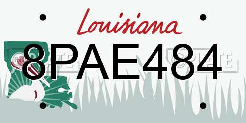 8PAE484 Louisiana License Plate