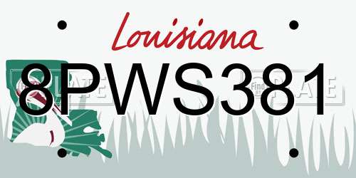 8PWS381 Louisiana License Plate