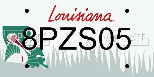 8PZS05 Louisiana License Plate