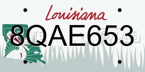8QAE653 Louisiana License Plate