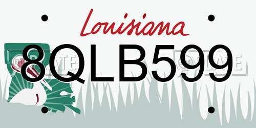 8QLB599 Louisiana License Plate