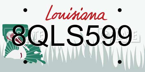 8QLS599 Louisiana License Plate