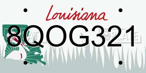 8QOG321 Louisiana License Plate