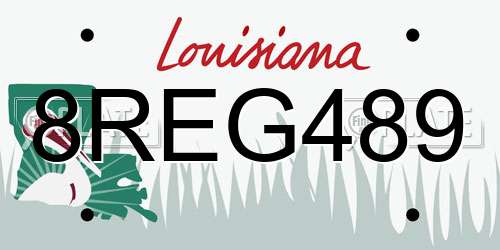 8REG489 Louisiana License Plate