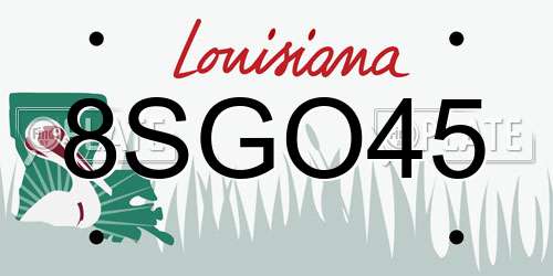 8SGO45 Louisiana License Plate