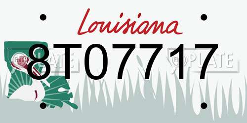 8T07717 Louisiana License Plate
