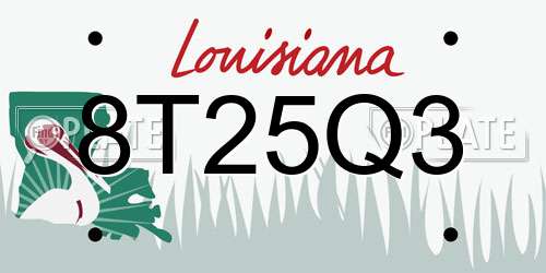 8T25Q3 Louisiana License Plate