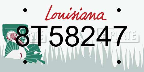 8T58247 Louisiana License Plate