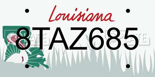 8TAZ685 Louisiana License Plate