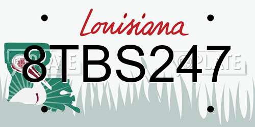 8TBS247 Louisiana License Plate