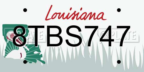 8TBS747 Louisiana License Plate
