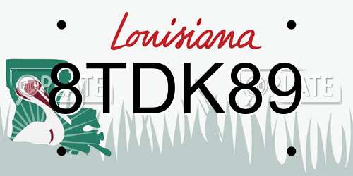 8TDK89 Louisiana License Plate