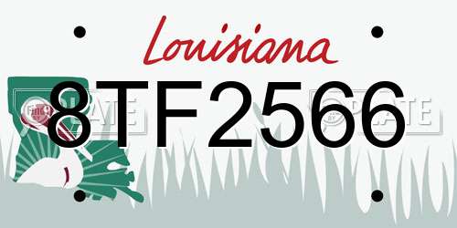8TF2566 Louisiana License Plate