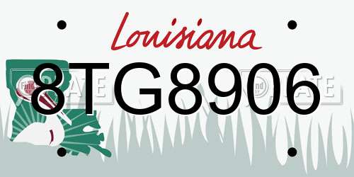8TG8906 Louisiana License Plate