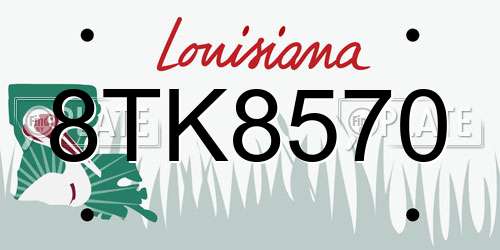 8TK8570 Louisiana License Plate