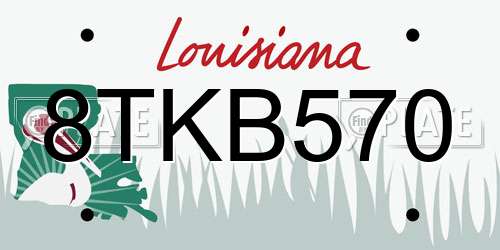 8TKB570 Louisiana License Plate