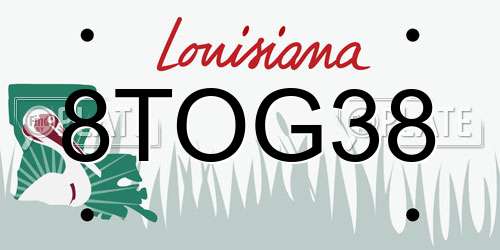 8TOG38 Louisiana License Plate