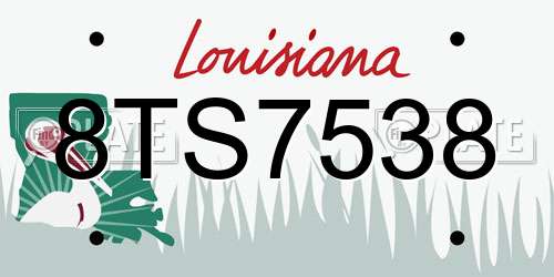 8TS7538 Louisiana License Plate
