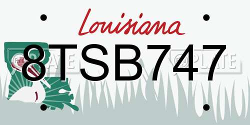 8TSB747 Louisiana License Plate