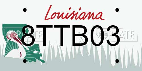 8TTB03 Louisiana License Plate