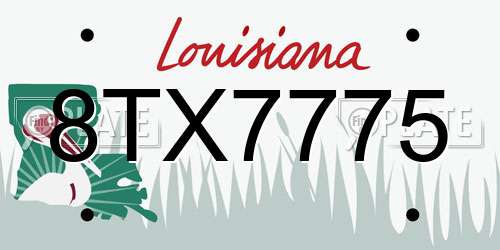 8TX7775 Louisiana License Plate