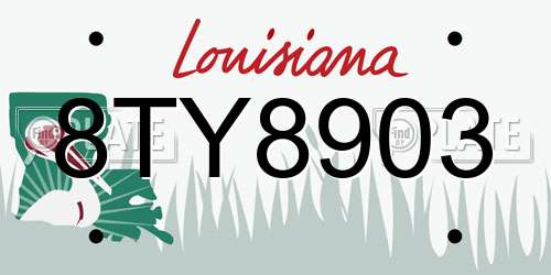 8TY8903 Louisiana License Plate