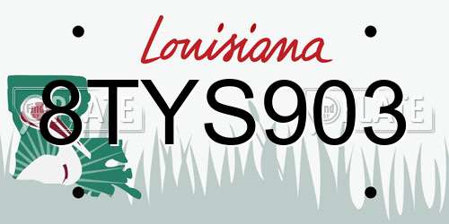 8TYS903 Louisiana License Plate
