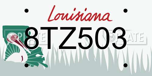 8TZ503 Louisiana License Plate
