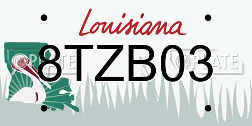 8TZB03 Louisiana License Plate