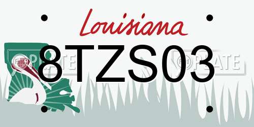 8TZS03 Louisiana License Plate