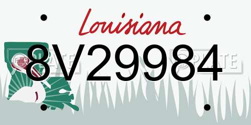 8V29984 Louisiana License Plate