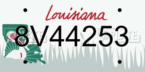 8V44253 Louisiana License Plate
