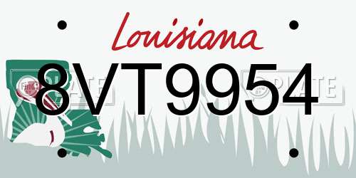 8VT9954 Louisiana License Plate