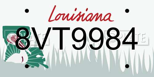 8VT9984 Louisiana License Plate