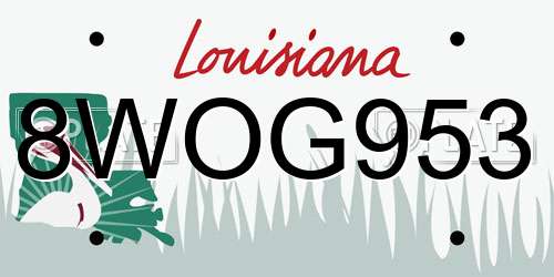 8WOG953 Louisiana License Plate