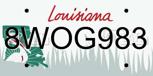 8WOG983 Louisiana License Plate