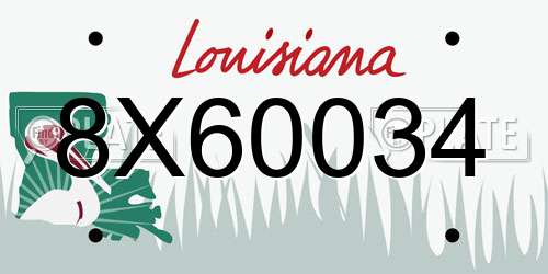 8X60034 Louisiana License Plate