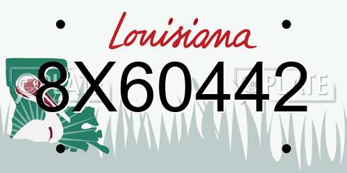 8X60442 Louisiana License Plate