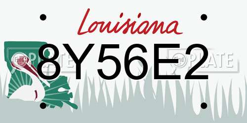 8Y56E2 Louisiana License Plate