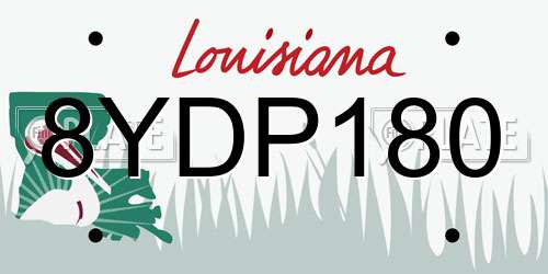 8YDP180 Louisiana License Plate
