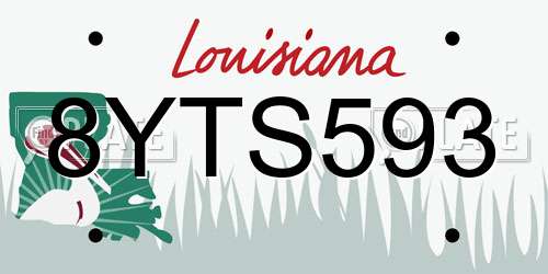 8YTS593 Louisiana License Plate